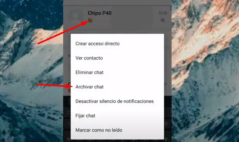 archivar-chat-whatsapp